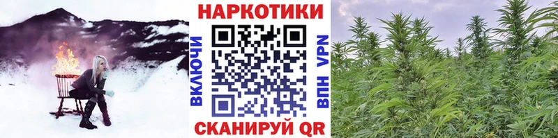 Магазины продажи наркотиков Черепаново Марихуана  Cocaine  Гашиш  APVP  Меф 