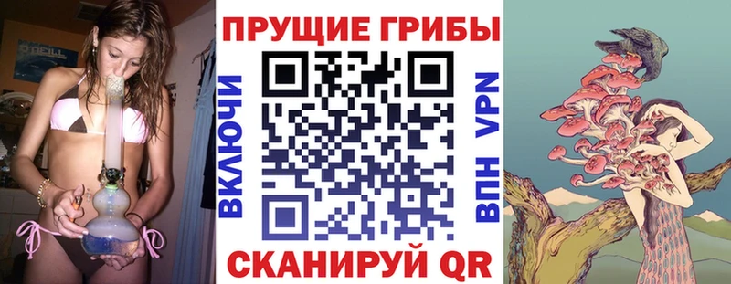 Псилоцибиновые грибы Psilocybine cubensis  Черепаново 